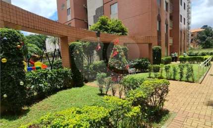 Apartamento com 2 quartos à venda na Rua Alexandre Levi, Cambuci, São Paulo