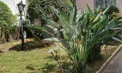 Casa com 2 quartos à venda ou para locação em brooklin novo - sp