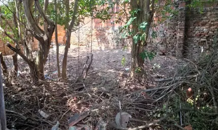 Terreno com 4 quartos à venda em Cidade Vargas - SP