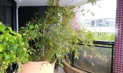 Cobertura com 4 quartos à venda em Jardim Vitória Régia - SP