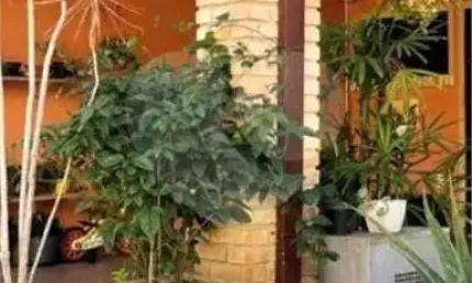 Condomínio com 3 quartos à venda em granja viana - sp