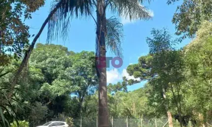 Chácara / sítio à venda na José Biscaia de Andrade, 1, Boa Vista, Mandirituba por R$ 150.000