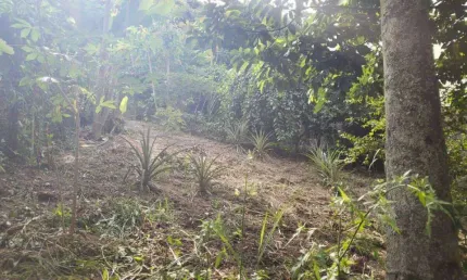 Terreno para venda condomínio nova paulista - jandira