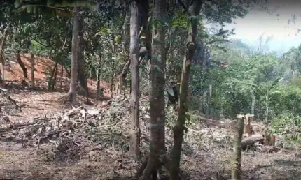 TERRENO PARA VENDA NO 970m² CRISTAL PARK III - SANTANA DE PARNAÍBA