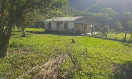 FAZENDA A VENDA 83 ALQUEIRES - 202 HA - IPORANGA - SÃO PAULO