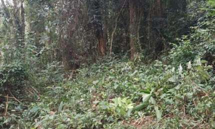 CHÁCARA A VENDA RECANTO DAS MARAVILHAS - ARAÇARIGUAMA