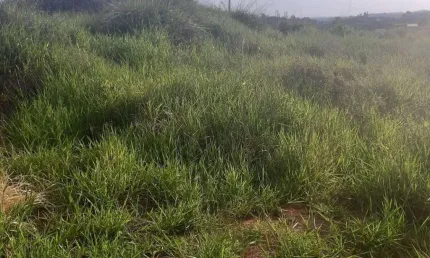Terreno à venda na Estrada do Jacarandá, Altos da Santa Lúcia, Carapicuíba