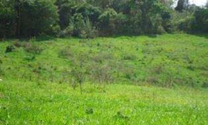 Barracão / Galpão / Depósito à venda na Rua Vereda Tropical, Chácara Das Moças Santana De, Chácara Estela, Santana de Parnaíba
