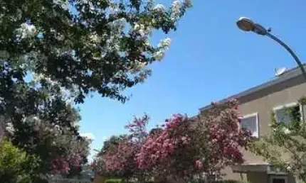 CASA A VENDA NO CONDOMINIO ALVORECER NO JARDIM CALIFORNIA EM BARUERI - SP