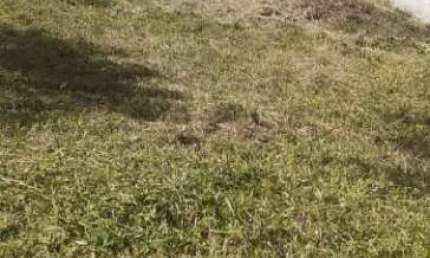 LOTE A VENDA CONDOMINIO RIVERSIDE DE RESIDENCE TARUMA