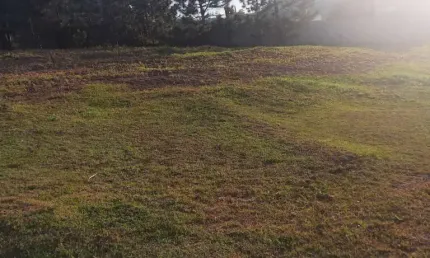 Terreno em condomínio fechado à venda na Estrada de Santo André, Sítio do Morro, Santana de Parnaíba