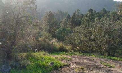 Terreno em condomínio fechado à venda na Estrada de Santo André, Sítio do Morro, Santana de Parnaíba