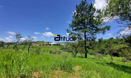 Area 145.000 Industrial e Logistica Frente para Rodovia Castelo Branco