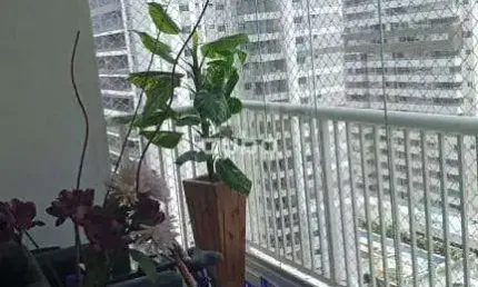 Apartamento com 3 dormitórios à venda, 75 m² por r$ 825.000,00 - tatuapé - são paulo/sp
