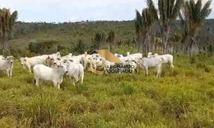 Fazenda à venda na Rua Rio Bahia, Mangabinha, Itabuna por R$ 3.000.000