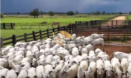 Fazenda à venda na Centro, Centro, Ipiaú por R$ 64.800.000