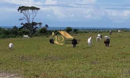 Fazenda à venda na Mogiquiçaba, Mogiquiçaba, Santa Cruz Cabrália por R$ 4.000.000