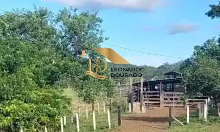 Fazenda à venda na Arataca, Zona Rural, Arataca por R$ 800.000