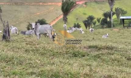 Fazenda à venda na Guaratinga, Zona Rural, Guaratinga por R$ 14.000.000