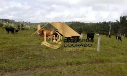 Fazenda à venda na Cabrália, Centro, Santa Cruz Cabrália por R$ 1.000.000