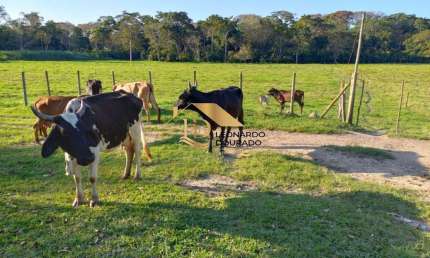 Fazenda com 3 salas à venda na PORTO SEGURO, Centro, Porto Seguro, 84 m2 por R$ 2.800.000