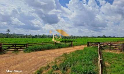 Fazenda com 20 salas à venda na URUARÁ, Centro, Uruará, 14800 m2