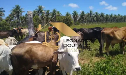 Fazenda à venda na CABRÁLIA, Centro, Santa Cruz Cabrália, 45 m2 por R$ 1.330.000
