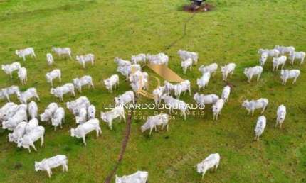 Fazenda à venda na BELMONTE, Zona Rural, Belmonte, 110 m2 por R$ 1.400.000