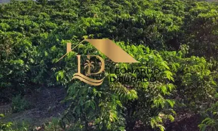 Fazenda com 2 salas à venda na SANTA LUZIA, Zona Rural, Santa Luzia, 100 m2 por R$ 7.000.000