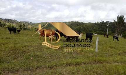 Fazenda à venda na AREA RURAL, Zona Rural, Santa Cruz Cabrália, 30 m2 por R$ 500.000