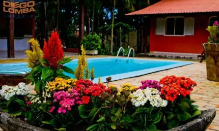 Fazenda à venda na Srv Braulina Machado, 334, Vargem Grande, Florianópolis