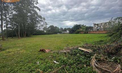 Terreno comercial à venda na Srv Fragata Da Cachoeira, S/N, Cachoeira do Bom Jesus, Florianópolis
