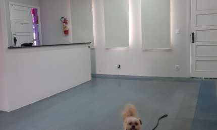 Casa comercial com 1 sala para alugar na Rua Santa Catarina, 900, Jardim Esplanada, Jundiaí