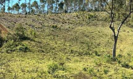 Vende-se terreno com ótima topografia e metragem de 600m²