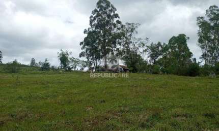 Chácara / sítio com 3 quartos à venda na Estrada Passo Do Custódio, 14460, Flórida, Guaíba