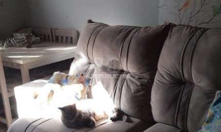Apartamento para Venda - 51.28m², 2 dormitórios, 1 vaga - Camaquã, Porto Alegre