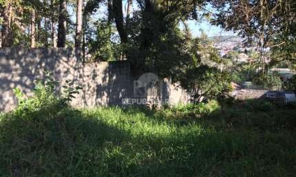 Terreno à venda na Avenida Vicente Monteggia, 784, Cavalhada, Porto Alegre