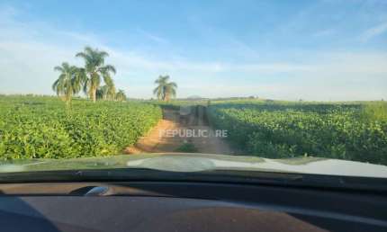 Fazenda à venda na Osvaldo Aranha Br 290, km 146, Medianeira, Eldorado do Sul