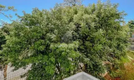 Apartamento 3 dormitórios à venda Teresópolis Porto Alegre/RS