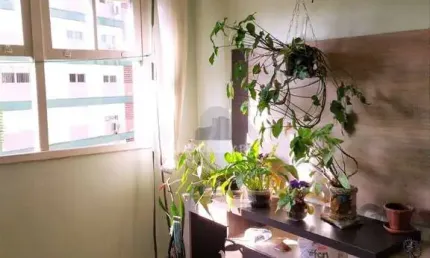Apartamento de 2 dormitórios com vaga no bairro petrópolis