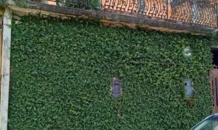 Casa para Venda em Rio de Janeiro, Santíssimo, 2 dormitórios, 2 banheiros, 1 vaga