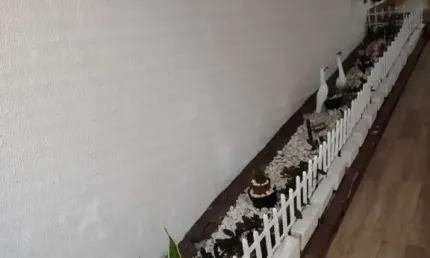 Sobrado c/2 dormitórios sendo 1 suíte em Joinville, Bairro Bom Retiro