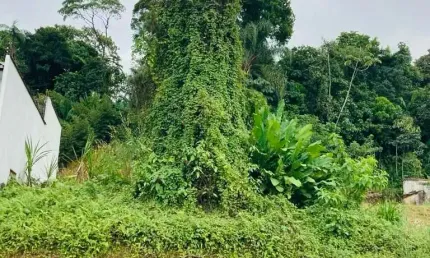 Terreno à venda no Costa e Silva, Joinville 