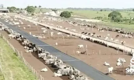 Fazenda com 2 salas à venda na Avenida dos Três Poderes, 156, Centro, Tomé-Açú