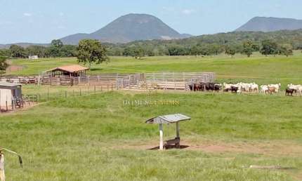 Fazenda com 2 salas à venda na Avenida Principal, SN, Centro, Nobres