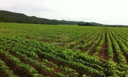 Fazenda com 2 salas à venda na Avenida Principal, 1426, Centro, Nobres
