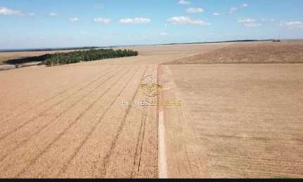 Fazenda com 2 salas à venda na Centro, Zona Rural, Confresa