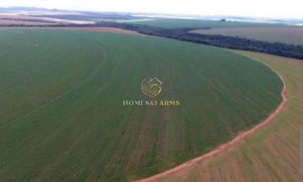 Fazenda a Venda Município: entre paredão e primavera -  MT