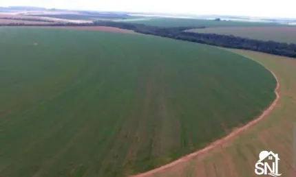 Fazenda a venda município: entre paredão e primavera -  mt
