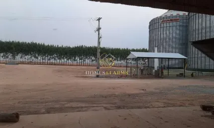 Vende esta propriedade  de porteira fechada em nova Ubiratan - MT